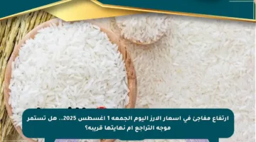 ارتفاع مفاجئ في أسعار الأرز اليوم الجمعة 1 أغسطس 2025.. هل تستمر موجة التراجع أم نهايتها قريبة؟